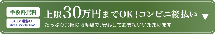 上限30万円までOK！コンビニ後払い